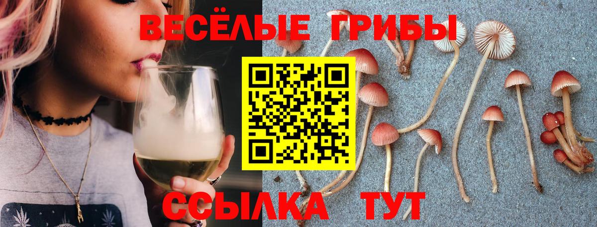 магазин продажи   Вход с VPN  Псилоцибиновые грибы Psilocybine cubensis  Баксан  Галлюциногенные грибы прущие грибы 